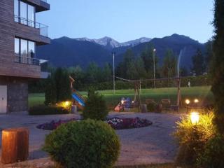 Ski Retreat Spa Pool and Mountain Views - 5