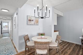 Bluewater E N503 - Surf Dog - 1