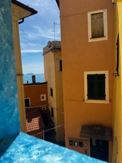 I cavallucci marini - Lerici - 0