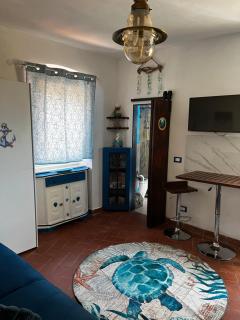 I cavallucci marini - Lerici - 1