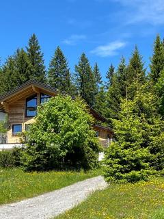 Chalet Bergheimat - Wagrain - 9