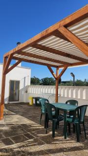 Appartamento tra gli ulivi - 7