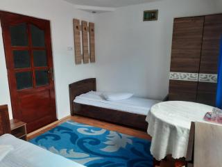 Casa ALINA ȘI ANDREEA - Arieşeni - 5