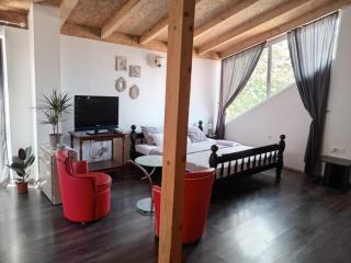 Borov Apartment - Herceg-Novi - 7