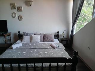 Borov Apartment - 1