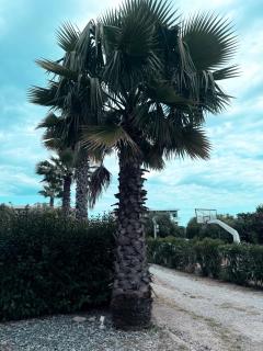 Villa Evita , penthouse, 53m2 ,Athytos , astonishing sea view - Afitos - 9