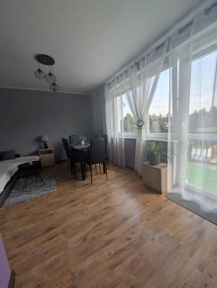 Ugeni, apartament - Ostrowo - 8