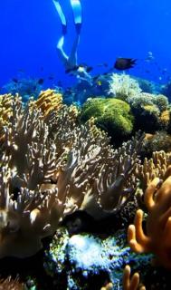 Aikoli Kang Resort - 2