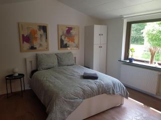 Central House in Billund 5 bdr - Next to LEGO adventures - Billund - 8