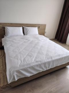 BAV Dunării - Cluj-Napoca - 7