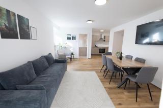 Cozy Living Apartments - Küssaberg - 8