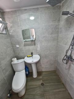 Fenix Apartment Tbilisi - Tiflis - 3