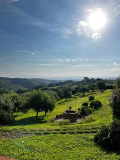 Podere la Svolta - Chianni - 2