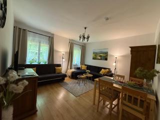 Biały Jar Ski & Bike Apartamenty w Karpaczu przy wyciągu z widokiem - Karpacz - 9