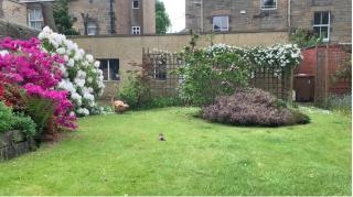 Quiet room in vibrant Bruntsfield with private parking - Edimburgo - 1