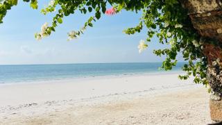 Palumbo Mnemba View Resort - - 2
