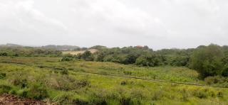 Petit F2 en campagne au Vauclin - Le Vauclin - 3