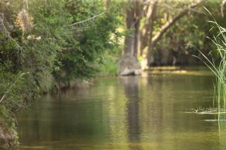Crider's On The Frio - Concan - 8