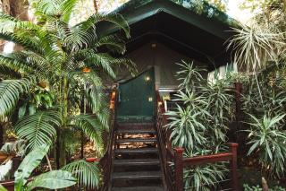 Luxury Tented Village @ Urban Glamping - St Lucia - 0