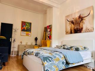 appartement spacieux en centre ville - Strasburgo - 4