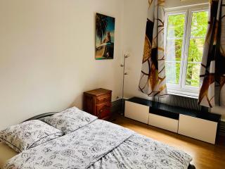 appartement spacieux en centre ville - Strasburgo - 1