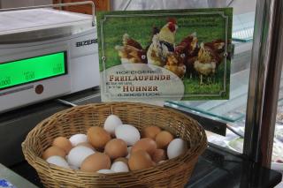 Paschlewwer Freizeit & Ferienhof - Köthen - 4