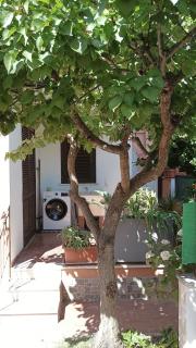 Afrodite Apartment Sabaudia - Sabaudia - 4