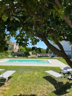 Habitat Luxury Suites - Bellona - 6