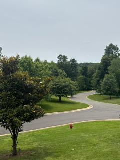 Quiet Stay - Fredericksburg - 3