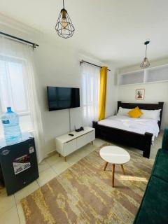 Lavish Enkanga Studio - Nairobi - 0