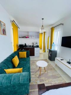 Lavish Enkanga Studio - Nairobi - 4