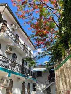 Jacob's Inn - Città di Zanzibar - 3