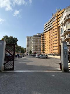 Petrocelli 364 - Palermo - 9