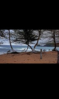 Ecolodge praia - São Tomé - 3