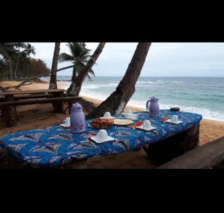 Ecolodge praia - São Tomé - 2
