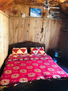 Budshah Palace House Boat - Srinagar - 8