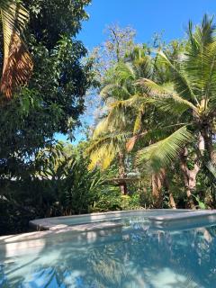 Hammock plantation - El Zonte - 0