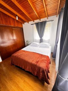 Hostal Galería de la Montaña, Medellin - 4