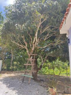 Hermosa Casa en Juana Vicenta Samana - Santa Bárbara de Samaná - 2