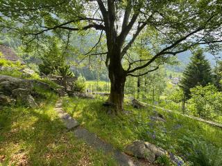Private 3-story villa in Val calanca, Rossa - 6