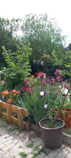 Ferienwohnung Lerchennest - 5