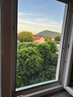 Casa Del Pellegrino M&A - Ostojići - Međugorje - 7
