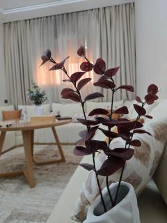 Appartement propre bien situé - Agadir - 8