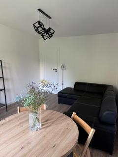 Apartament Sanok - Sanok - 7