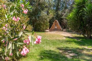 Bosques del Paico Santiago - El Monte - 0
