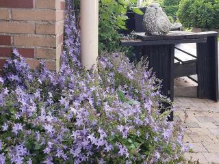 Appartement De Molshoop - 2