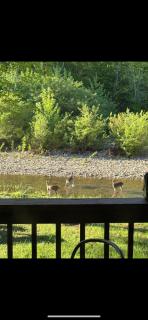Liberty Cabin - Norman - 9