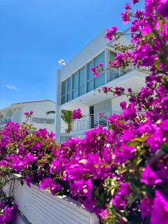 Anemoni Beach Hotel - Città di Skiathos - 9