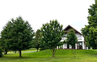 Fűzfa Porta - Balatoncsicsó - 4