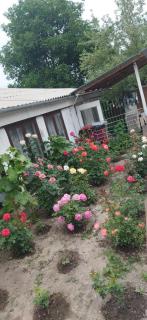 Greentravel-guesthouse - Vorontsovskoye - 5